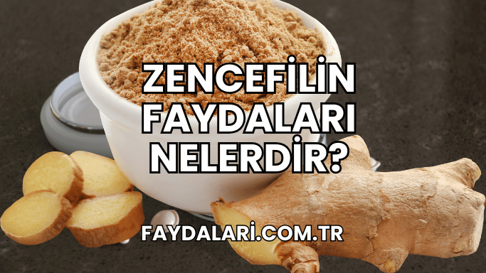 Zencefilin Faydaları Nelerdir?