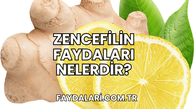 Zencefilin Faydaları Nelerdir?