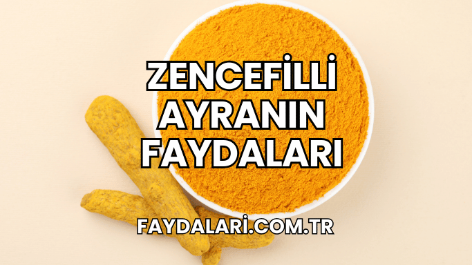 Zencefilli Ayranın Faydaları