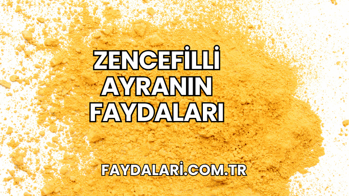 Zencefilli Ayranın Faydaları