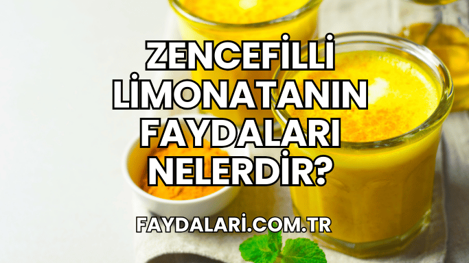 Zencefilli Limonatanın Faydaları Nelerdir?