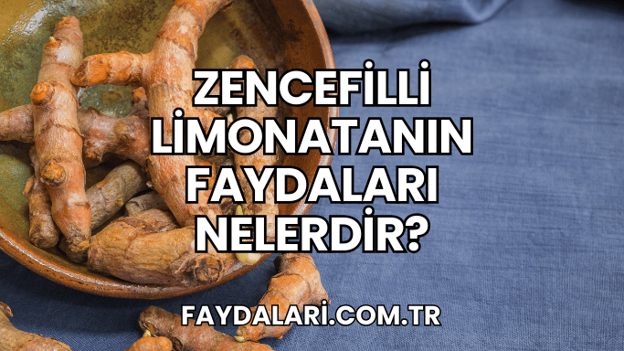 Zencefilli Limonatanın Faydaları Nelerdir?