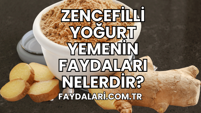 Zencefilli Yoğurt Yemenin Faydaları Nelerdir?