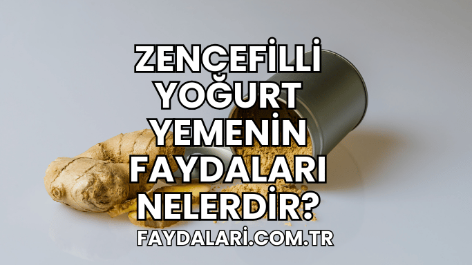 Zencefilli Yoğurt Yemenin Faydaları Nelerdir?