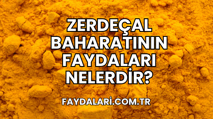 Zerdeçal Baharatının Faydaları Nelerdir?