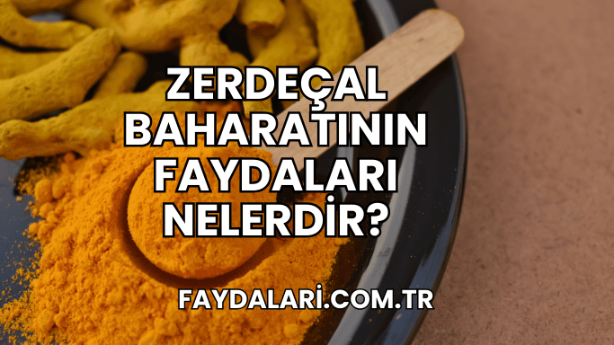 Zerdeçal Baharatının Faydaları Nelerdir?