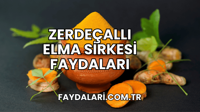 Zerdeçallı Elma Sirkesi Faydaları