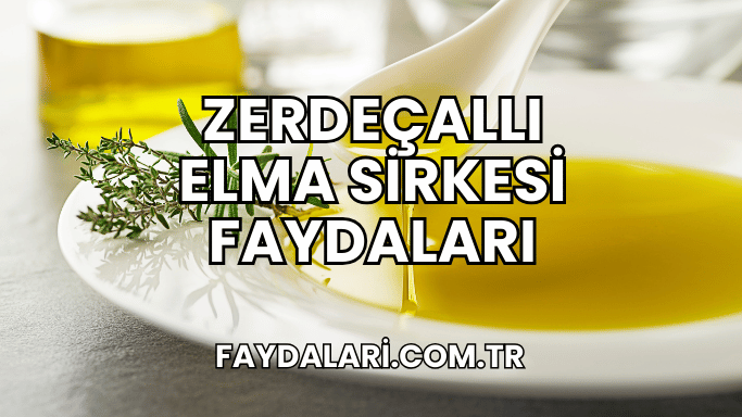 Zerdeçallı Elma Sirkesi Faydaları