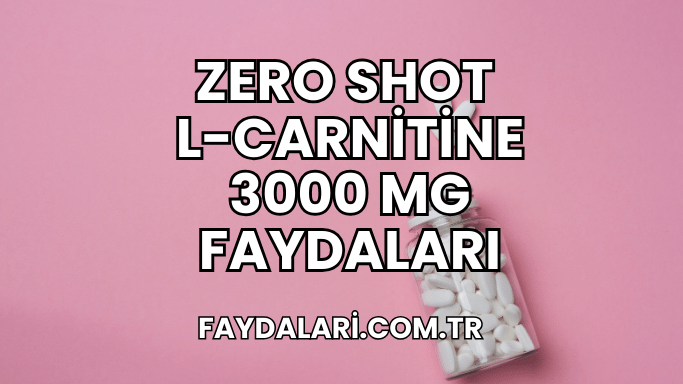 Zero Shot L-Carnitine 3000 mg Faydaları