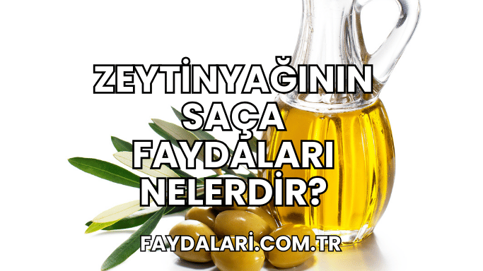 Zeytinyağının Saça Faydaları Nelerdir?