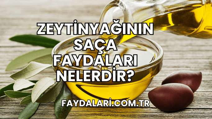 Zeytinyağının Saça Faydaları Nelerdir?