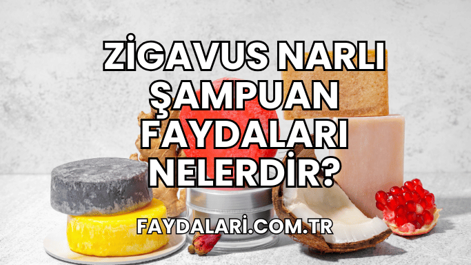 Zigavus Narlı Şampuan Faydaları Nelerdir?