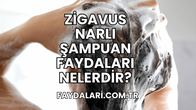 Zigavus Narlı Şampuan Faydaları Nelerdir?