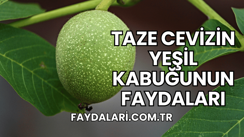 Taze Cevizin Yeşil Kabuğunun Faydaları