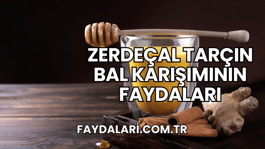 zerdeçal tarçın bal karışımının faydaları