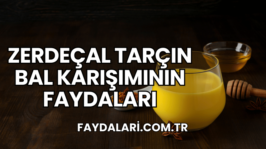 zerdeçal tarçın bal karışımının faydaları