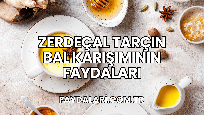 zerdeçal tarçın bal karışımının faydaları