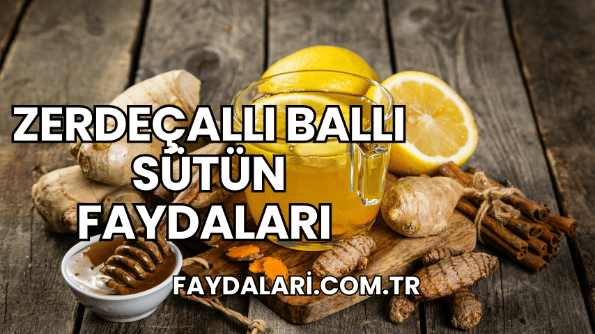 zerdeçallı ballı sütün faydaları