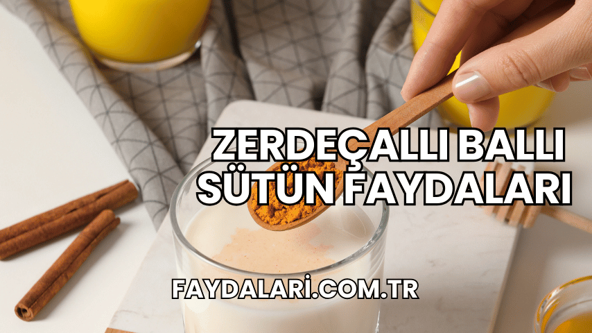 zerdeçallı ballı sütün faydaları