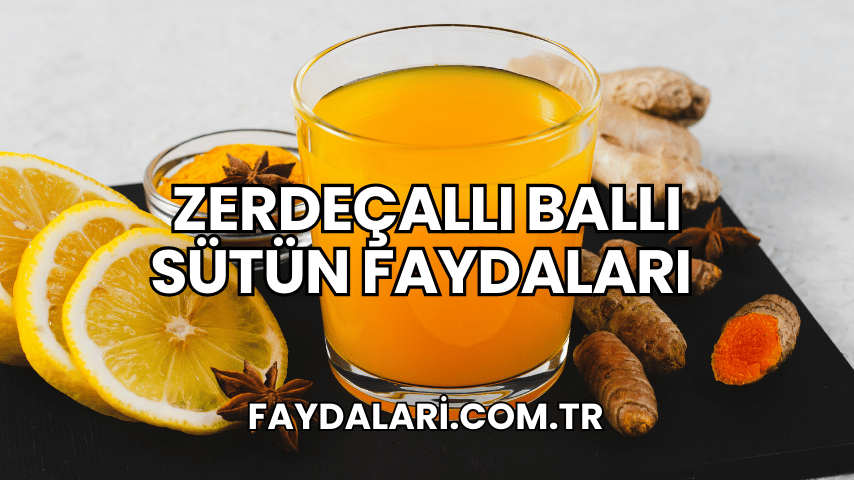 zerdeçallı ballı sütün faydaları