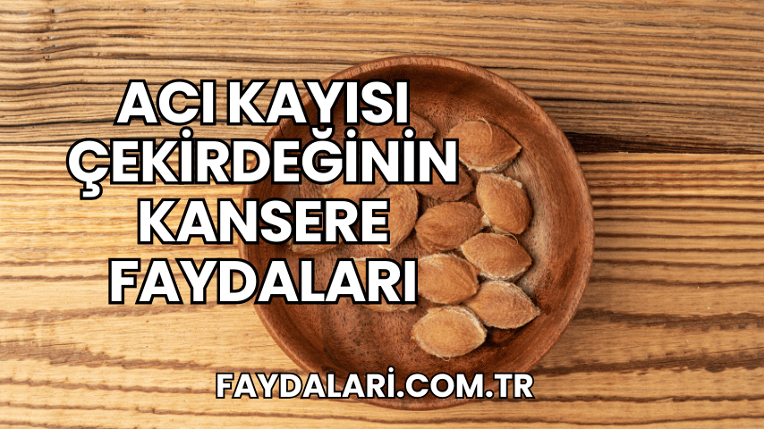 Acı Kayısı Çekirdeğinin Kansere Faydaları