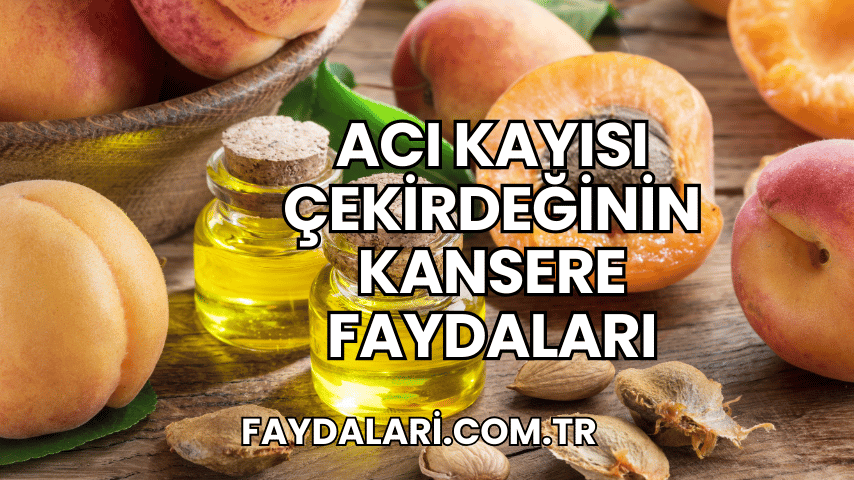 Acı Kayısı Çekirdeğinin Kansere Faydaları