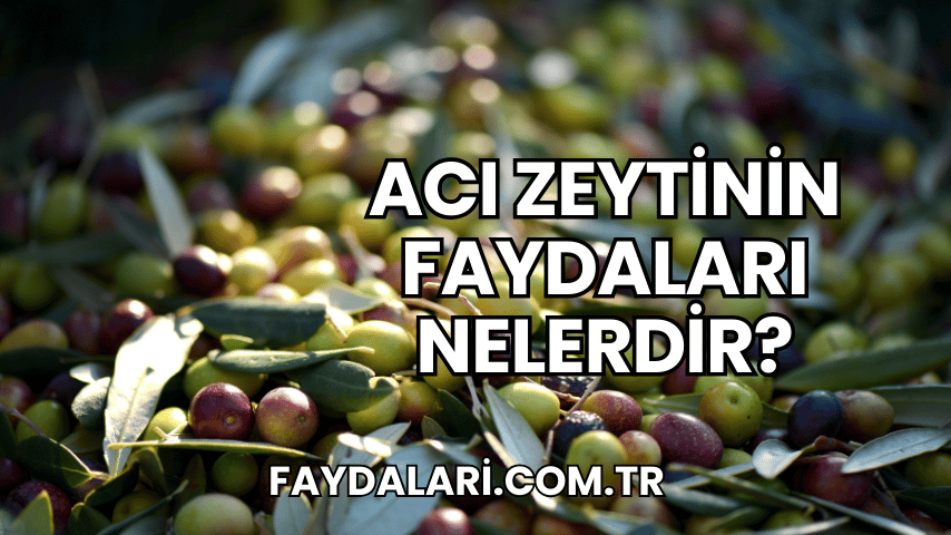 Acı Zeytinin Faydaları Nelerdir?