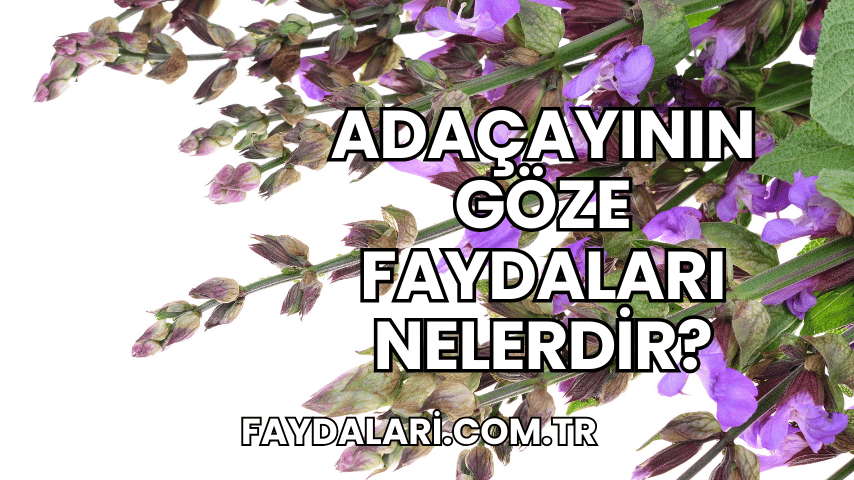 Adaçayının Göze Faydaları Nelerdir?