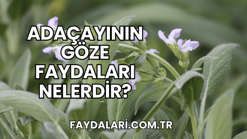 Adaçayının Göze Faydaları Nelerdir?