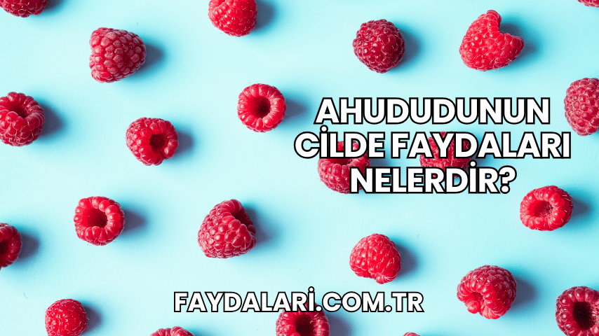 Ahududunun Cilde Faydaları Nelerdir?