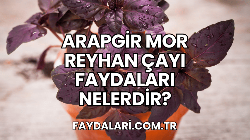 Arapgir Mor Reyhan Çayı Faydaları Nelerdir?