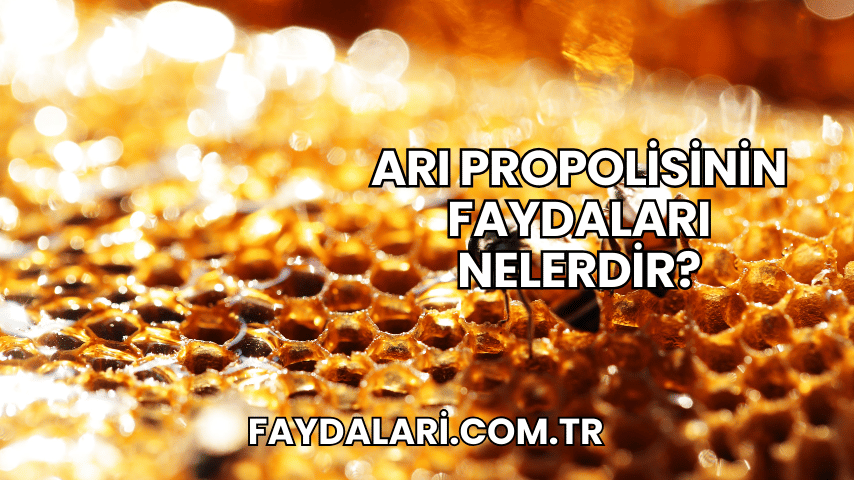 Arı Propolisinin Faydaları Nelerdir?