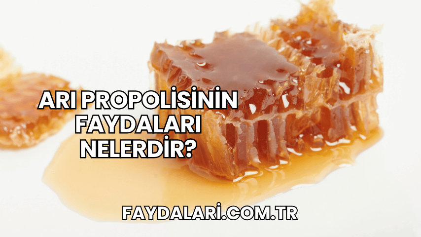 Arı Propolisinin Faydaları Nelerdir?