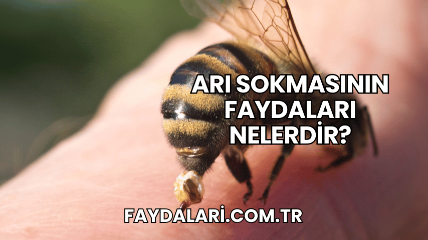 Arı Sokmasının Faydaları Nelerdir?