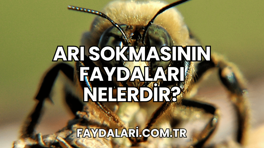 Arı Sokmasının Faydaları Nelerdir?