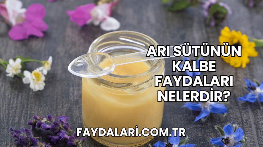 Arı Sütünün Kalbe Faydaları Nelerdir?