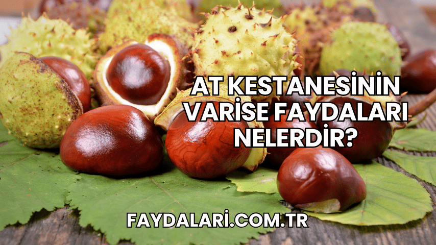 At Kestanesinin Varise Faydaları Nelerdir?