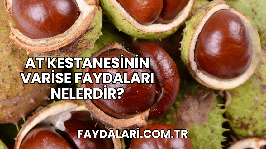 At Kestanesinin Varise Faydaları Nelerdir?