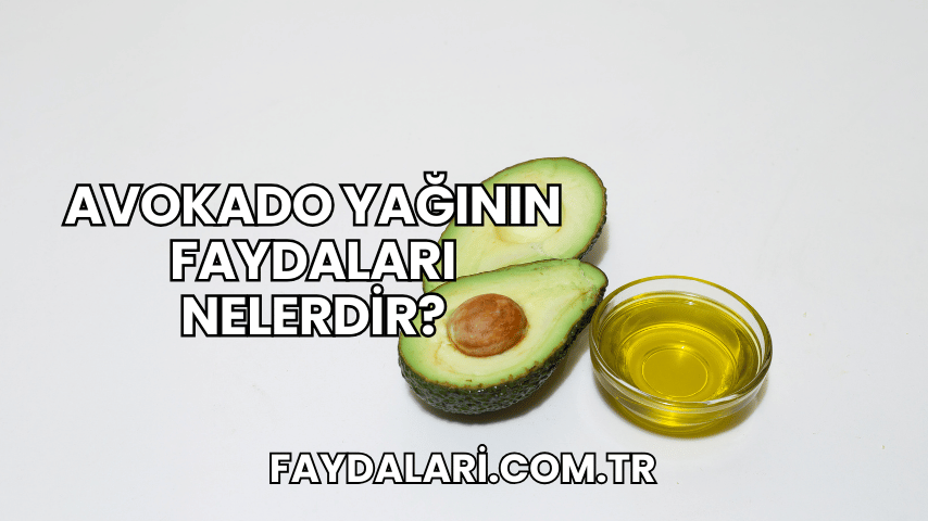 Avokado Yağının Faydaları Nelerdir?