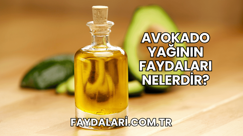 Avokado Yağının Faydaları Nelerdir?