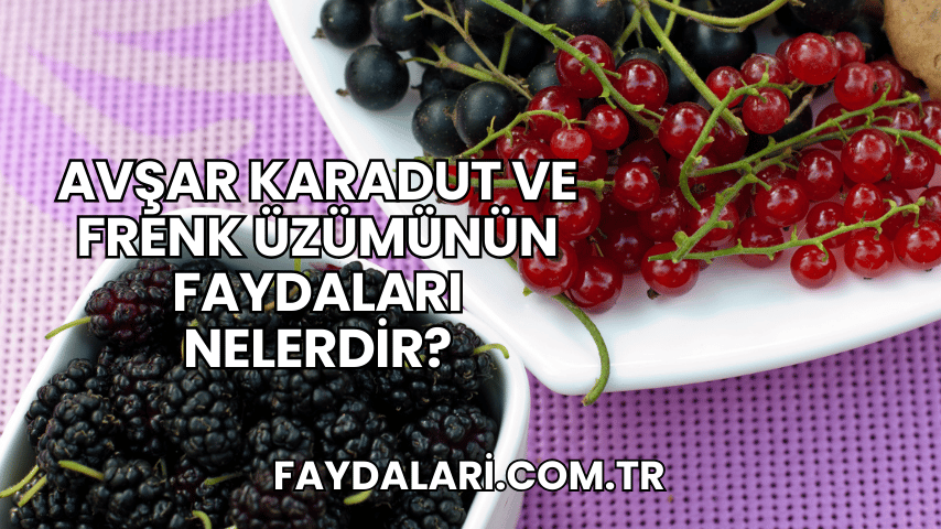 Avşar Karadut ve Frenk Üzümünün Faydaları Nelerdir?