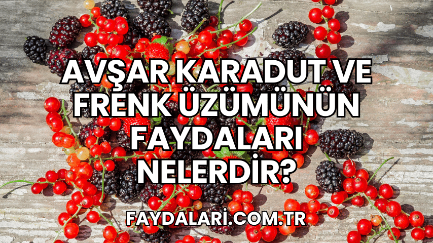 Avşar Karadut ve Frenk Üzümünün Faydaları Nelerdir?