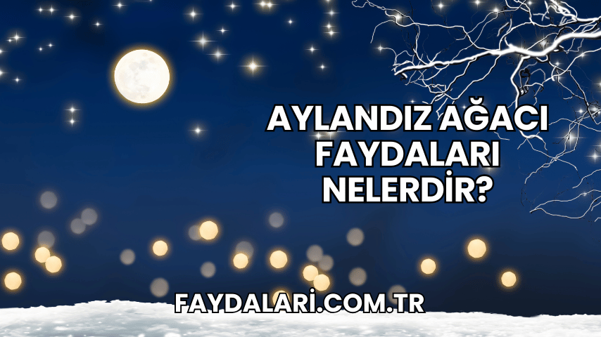 Aylandız Ağacı Faydaları Nelerdir?