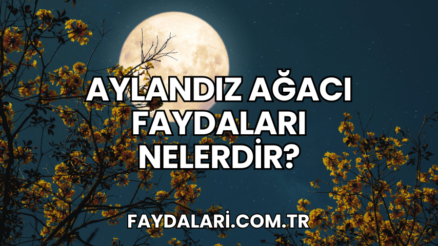 Aylandız Ağacı Faydaları Nelerdir?