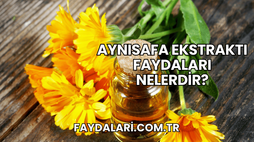 Aynısafa Ekstraktı Faydaları Nelerdir?