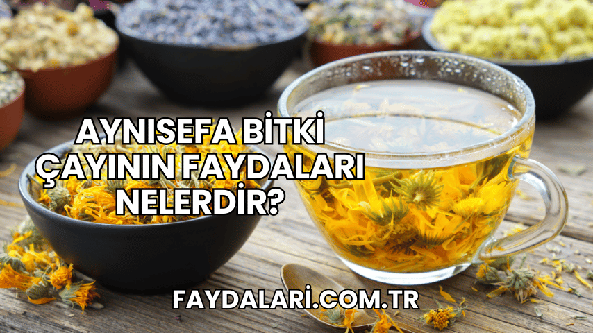 Aynısefa Bitki Çayının Faydaları Nelerdir?