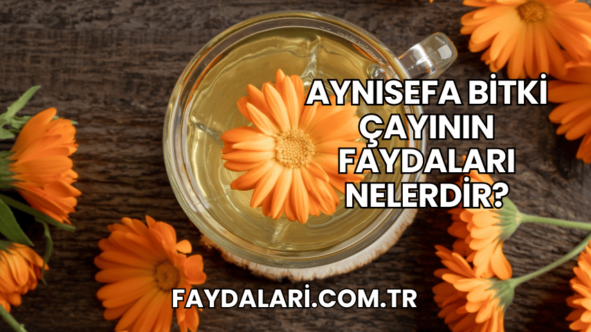 Aynısefa Bitki Çayının Faydaları Nelerdir?