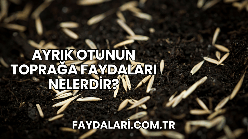 Ayrık Otunun Toprağa Faydaları Nelerdir?