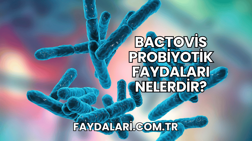 Bactovis Probiyotik Faydaları Nelerdir?