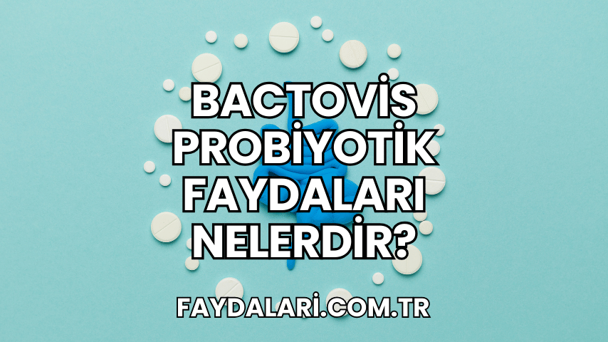 Bactovis Probiyotik Faydaları Nelerdir?